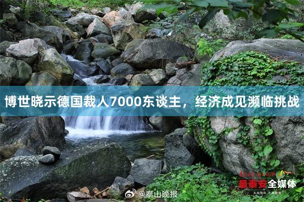 博世晓示德国裁人7000东谈主，经济成见濒临挑战