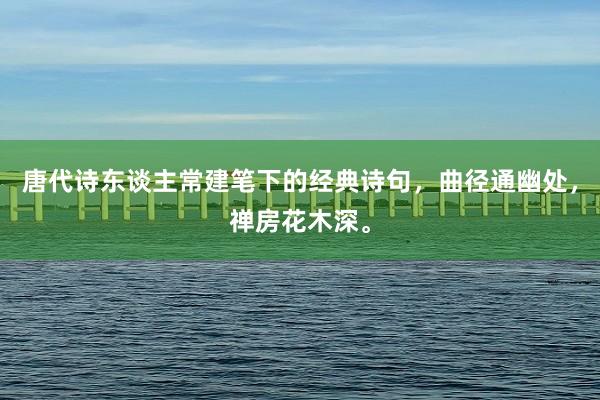 唐代诗东谈主常建笔下的经典诗句，曲径通幽处，禅房花木深。