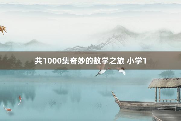 共1000集奇妙的数学之旅 小学1